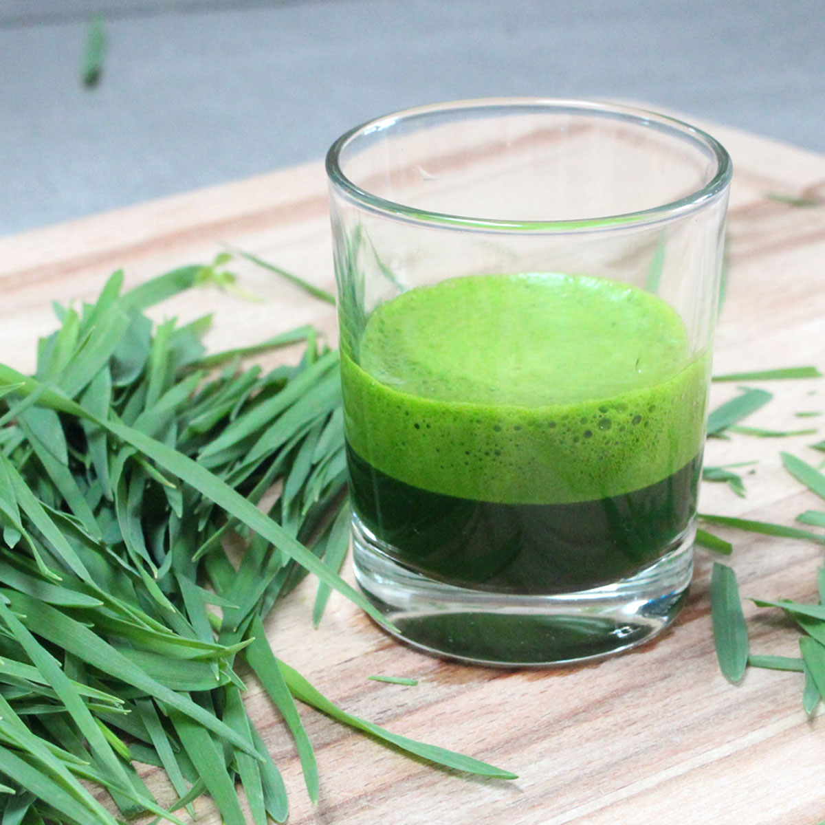 spelzhafer_hafergras4