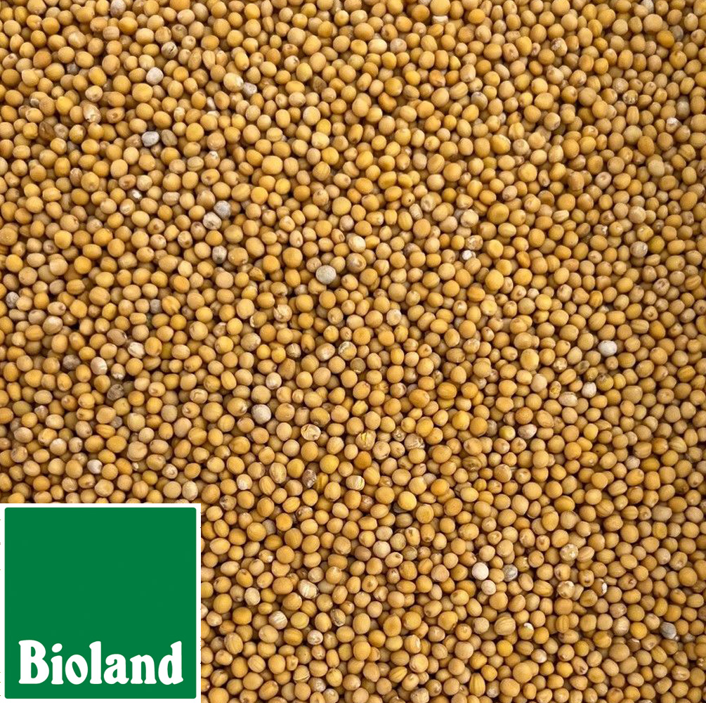 Bioland Senfkörner