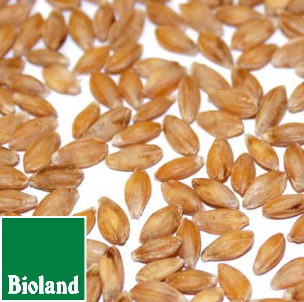 Bioland Einkorn