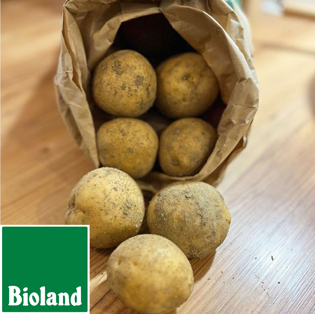 Bioland Kartoffeln Anuschka 5kg 