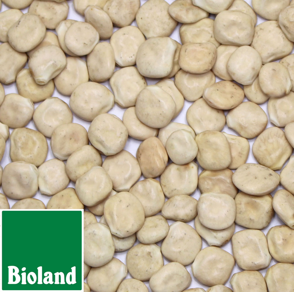 Bioland Süßlupinen