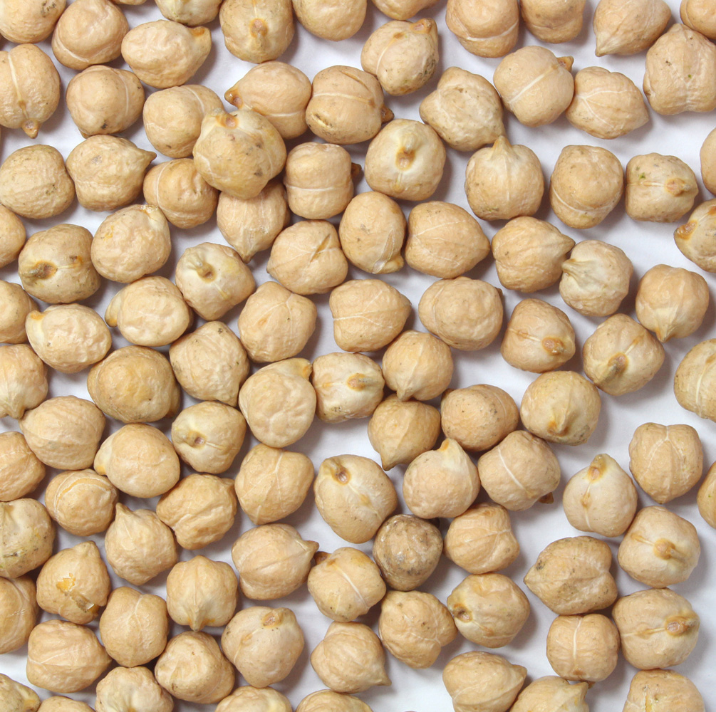 kichererbsen Bioland Kichererbsen