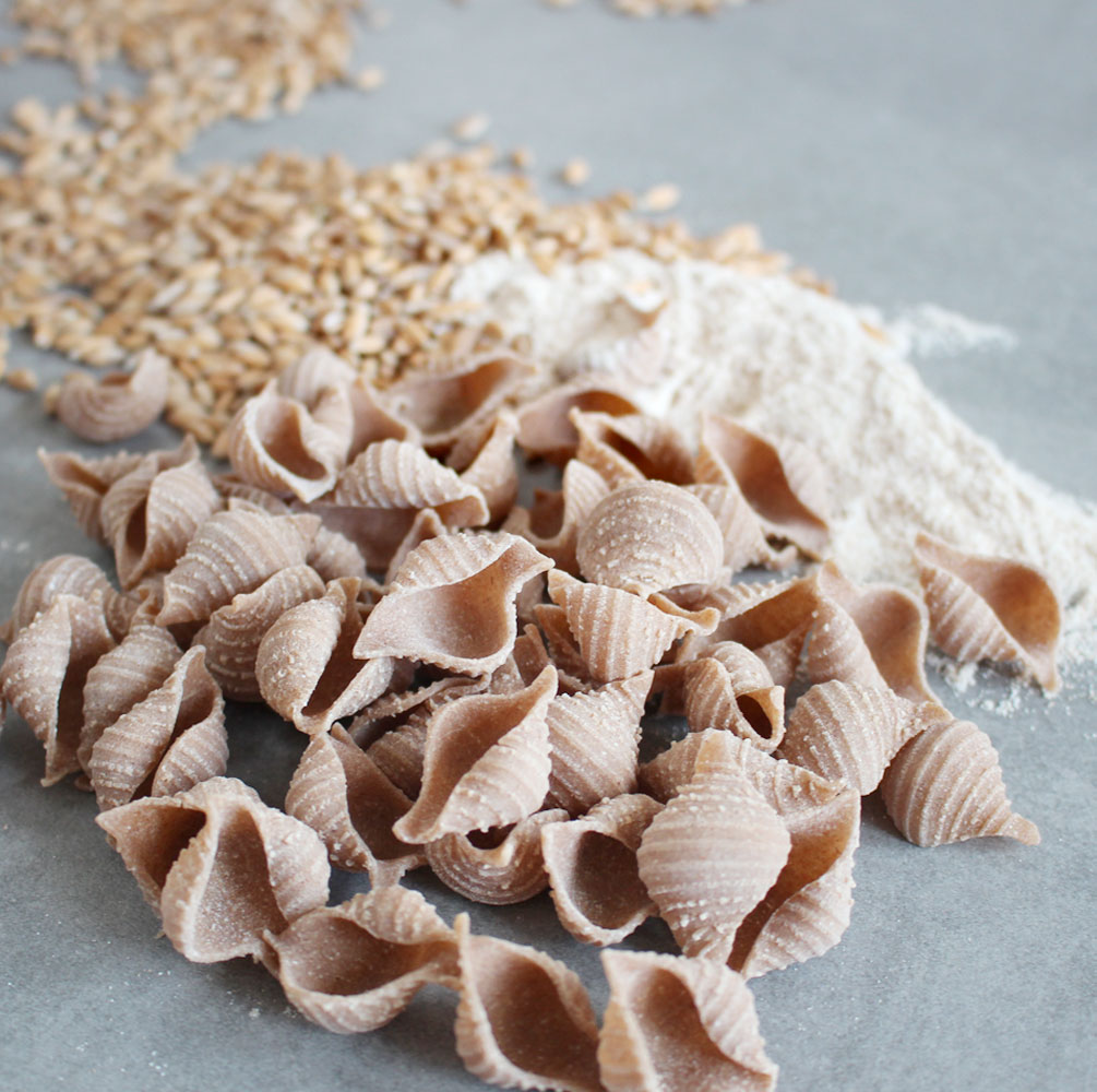 emmernudeln_muscheln3