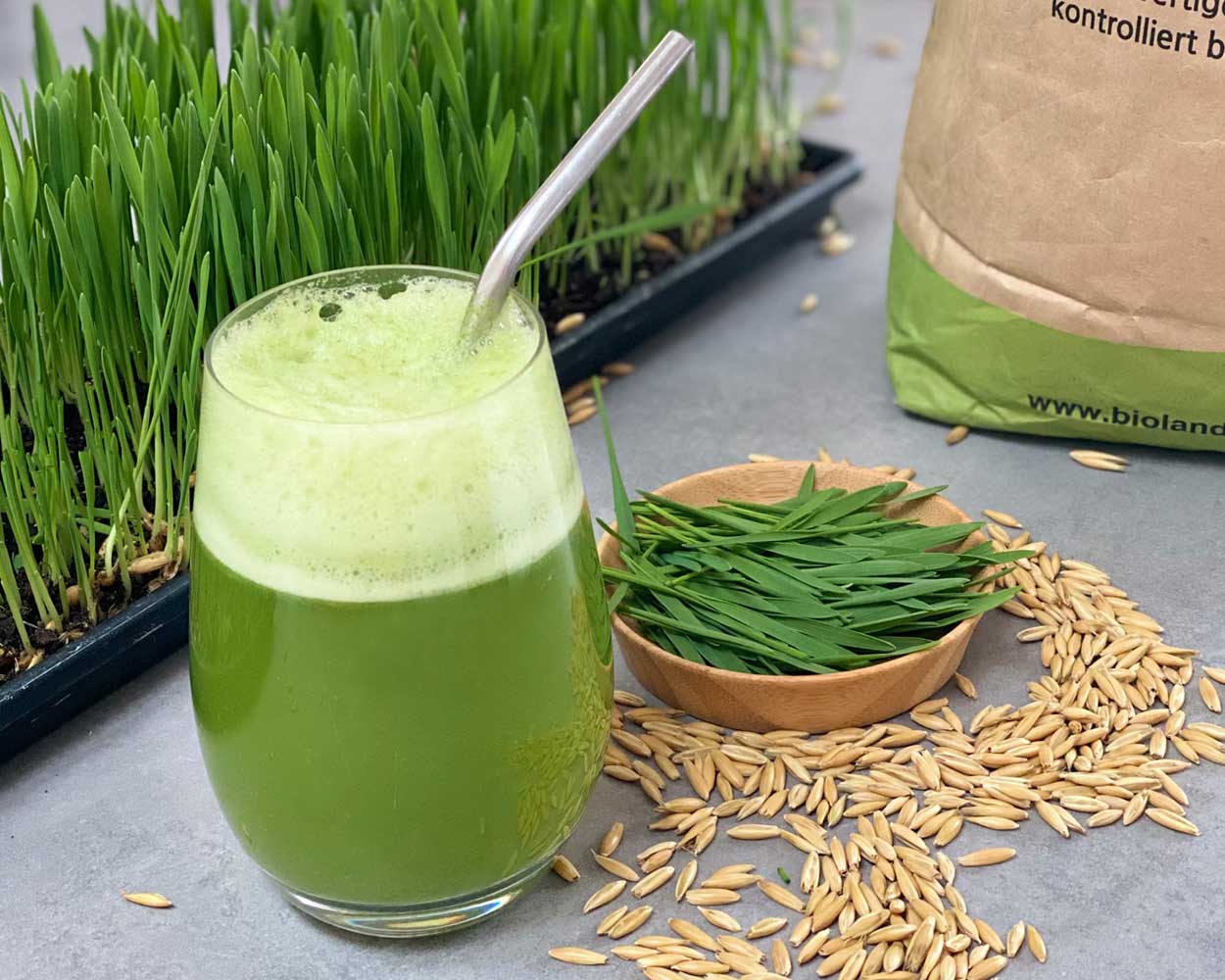 Hafergras Smoothie