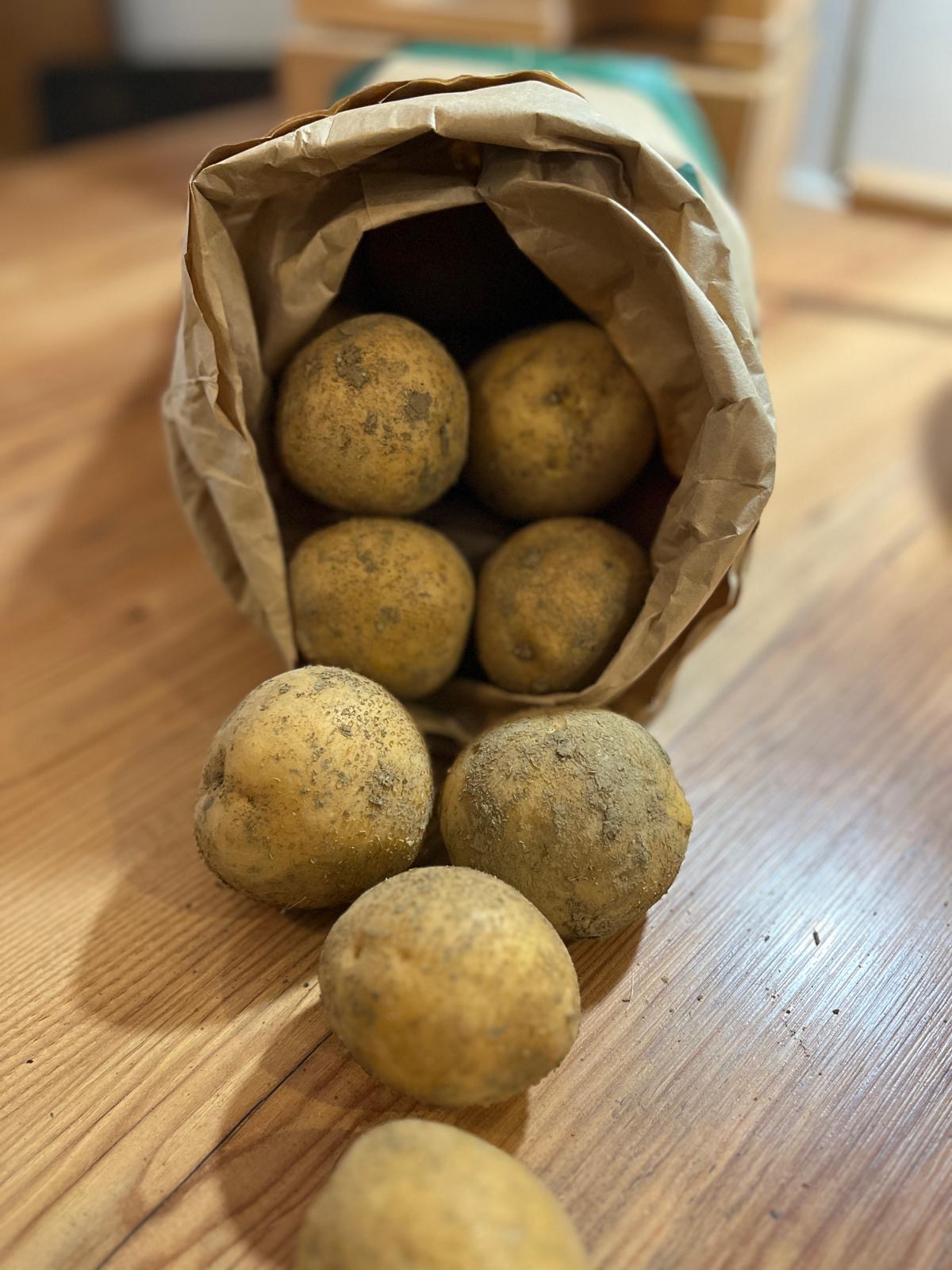 Bioland Kartoffeln Anuschka 5kg 