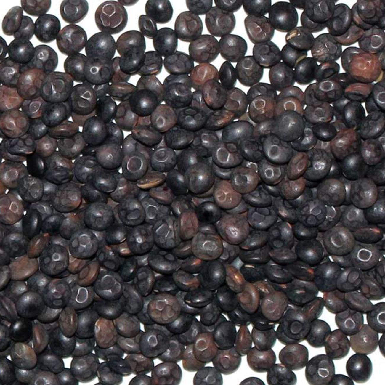 produktbilder_0003_linsen Bioland schwarze Linsen