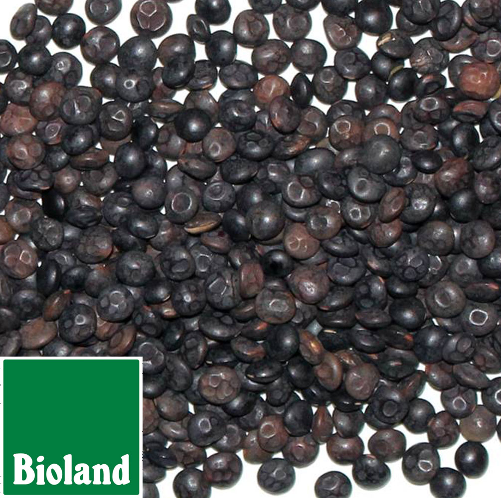 Bioland schwarze Linsen 