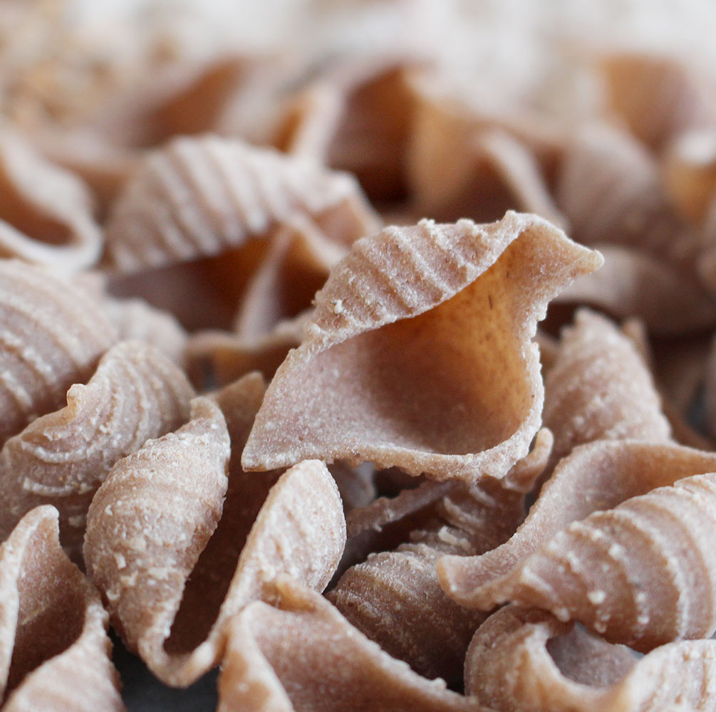 emmernudeln_muscheln2