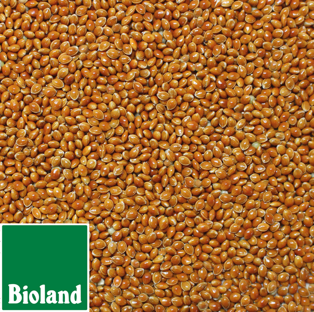 Bioland Braunhirse ungeschält