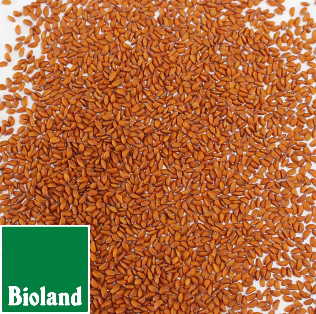 Bioland Kresse 