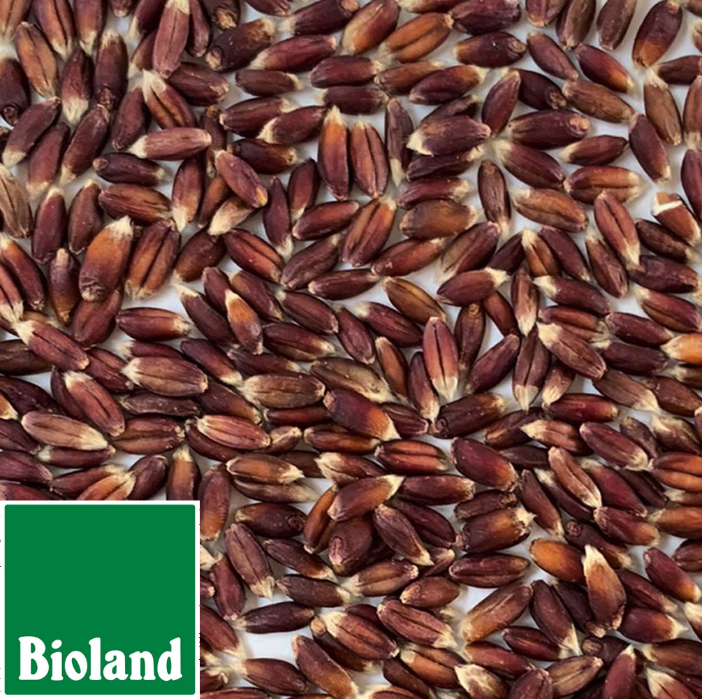 Bioland Rotdinkel Späths Albrubin